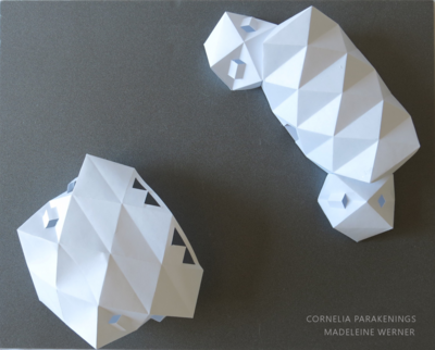 Foto des Albums: Grundkurs Bildende Kunst der MSS 13 kontaktiert ’Origami-Meister‘ (12.10.2021)