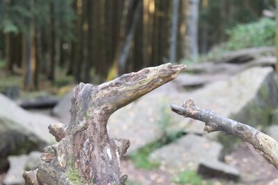 Foto des Albums: Abenteuersport-Lehrgang