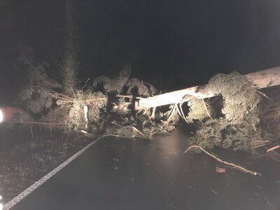 Foto des Albums: Einsatz 01.03.2020