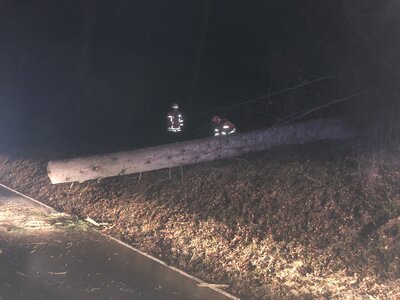 Foto des Albums: Einsatz 01.03.2020