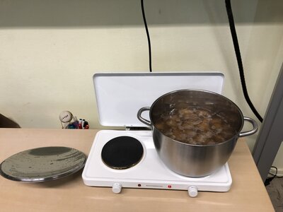 Foto des Albums: Kartoffelprojekt Klasse 4-2021