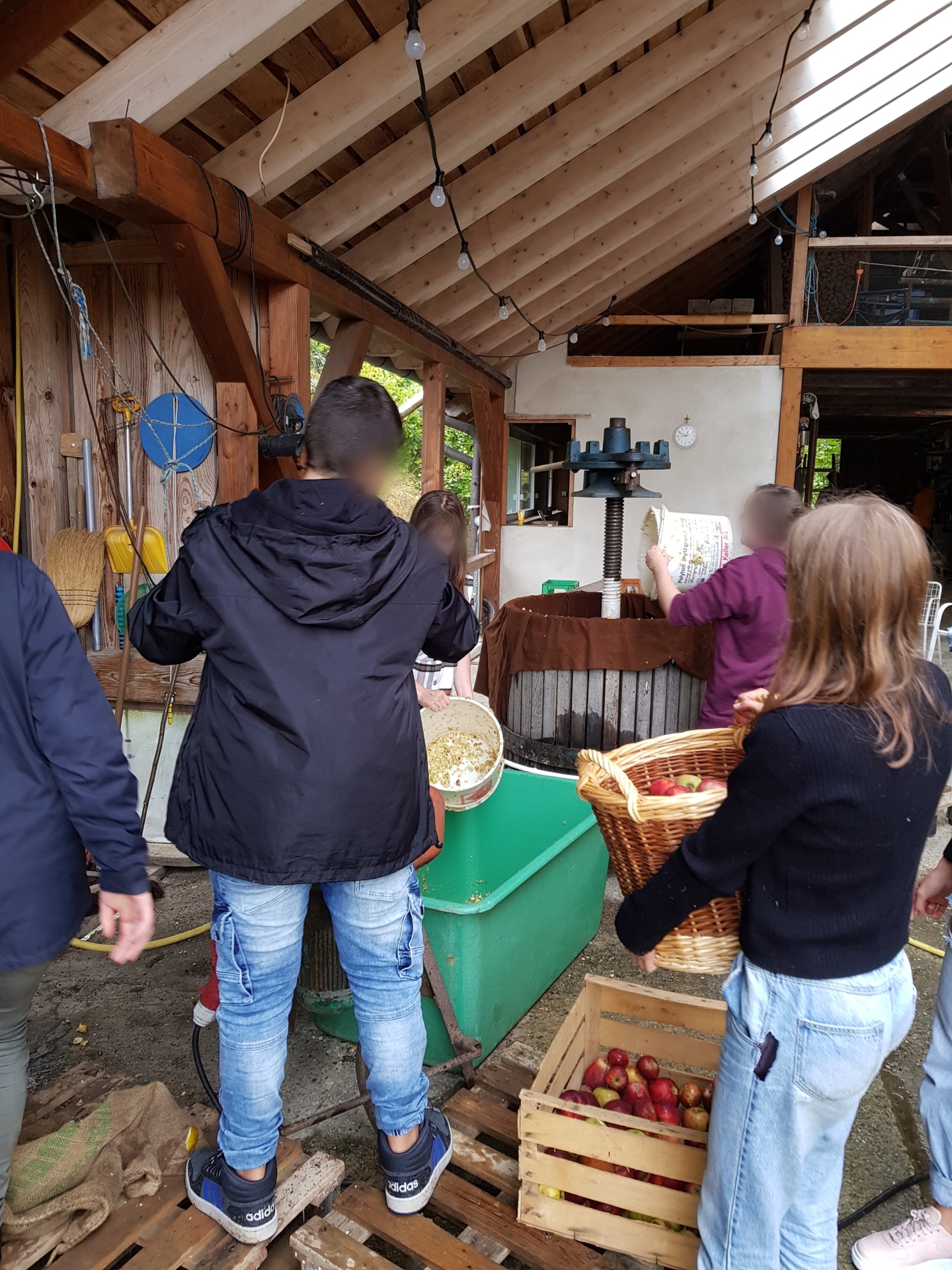Bild der Galerie