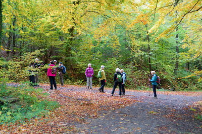 Am Rundweg Osterberg  (Bild vergr&ouml;&szlig;ern)