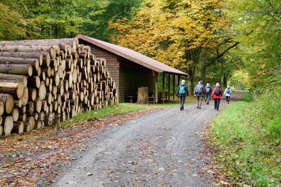 Am Westerberg  (Bild vergr&ouml;&szlig;ern)