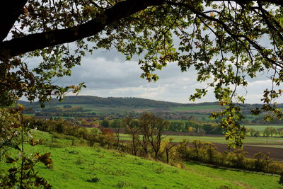 Blick von der Seufzerallee  (Bild vergr&ouml;&szlig;ern)