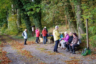 Rast - S&auml;ngerbank bei Bensen -2  (Bild vergr&ouml;&szlig;ern)