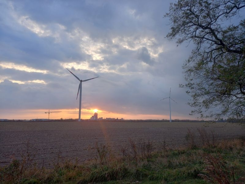 Bild: 20 Abendstimmung Rückweg Herzfelder Weg