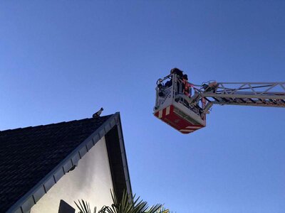 Foto des Albums: Einsatz 30/2021