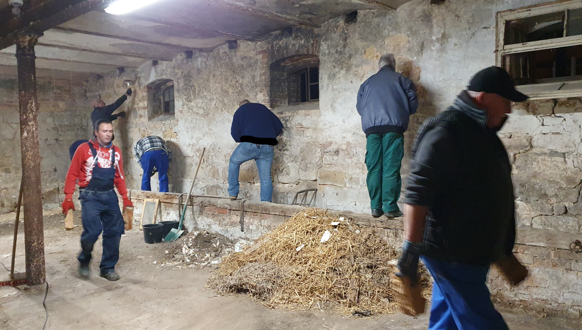 Bild : Arbeitseinsatz Schielehof