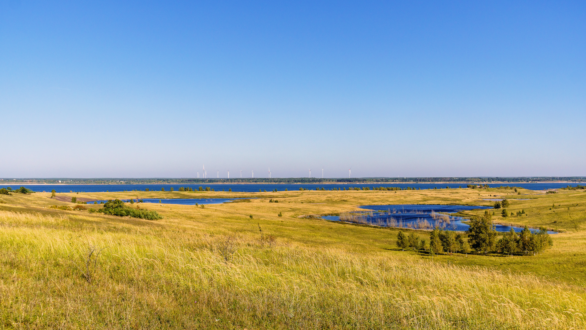 Bild: Großräschener See - Radrundweg - Ilseteiche