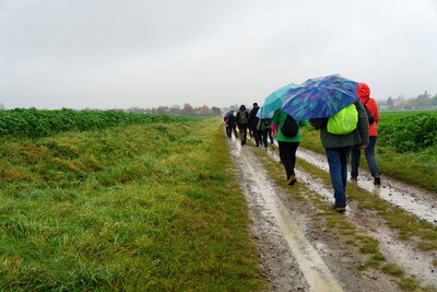 Wennigsen in Sicht  (Bild vergr&ouml;&szlig;ern)