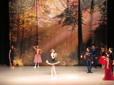 Foto des Albums: Ballett  Schwanensee für Kinder