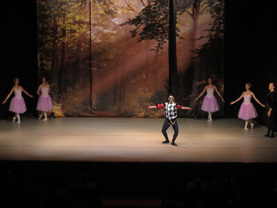 Foto des Albums: Ballett  Schwanensee für Kinder