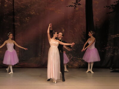 Foto des Albums: Ballett  Schwanensee für Kinder