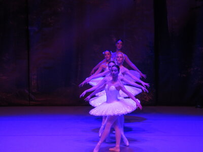 Foto des Albums: Ballett  Schwanensee für Kinder