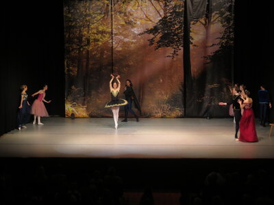 Foto des Albums: Ballett  Schwanensee für Kinder