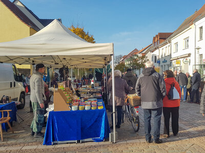 Foto des Albums: Knieperkohlsaison beim PriMa-Treff eröffnet