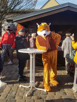 Foto des Albums: Knieperkohlsaison beim PriMa-Treff eröffnet