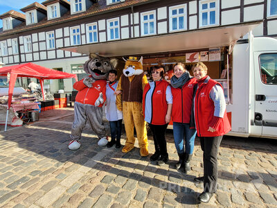 Foto des Albums: Knieperkohlsaison beim PriMa-Treff eröffnet