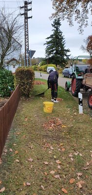 Foto des Albums: Arbeitseinsatz/Herbstputz