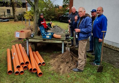 Foto des Albums: Arbeitseinsatz/Herbstputz