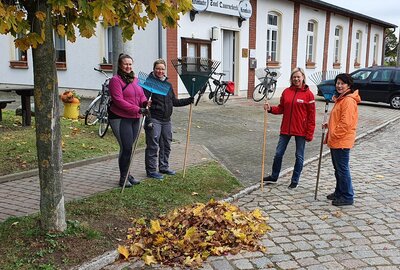 Foto des Albums: Arbeitseinsatz/Herbstputz