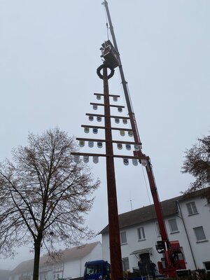 Foto des Albums: Ständebaum