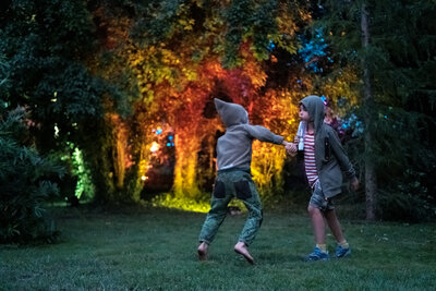 Foto des Albums: Das war das Festival Für Freunde 2021