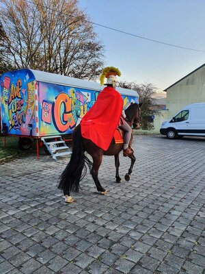 Foto des Albums: Sankt Martin