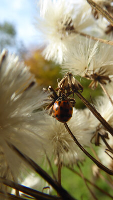 04 Foto Inken 13J 
