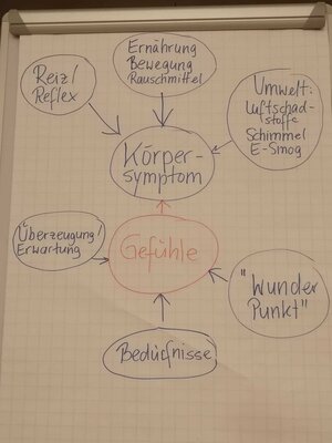 Foto des Albums: Versammlung mit Referentin Brigitte Becker zum Thema: Die Sprache des Körpers