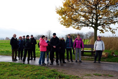 Dicke Eiche am Gehrdener Kirchweg  (Bild vergr&ouml;&szlig;ern)