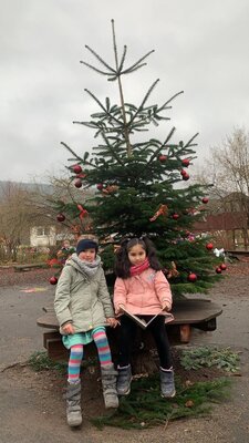 Foto des Albums: In der Schule... (Nov.-Jan.)