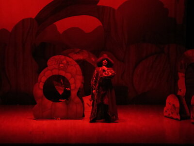 Foto des Albums: Der kleine Drache Kokosnuss_Kindermusical