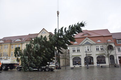 Foto des Albums: Aufbau und Schmücken des Weihnachtsbaumes (24.11.2021)
