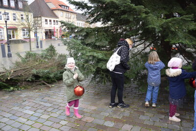 Foto des Albums: Aufbau und Schmücken des Weihnachtsbaumes (24.11.2021)