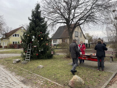 Foto des Albums: Der Weihnachtsbaum erstrahlt (28.11.2021)
