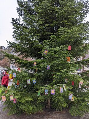 Foto des Albums: Tannenbaum schmücken