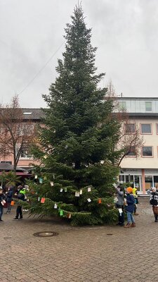 Foto des Albums: Tannenbaum schmücken