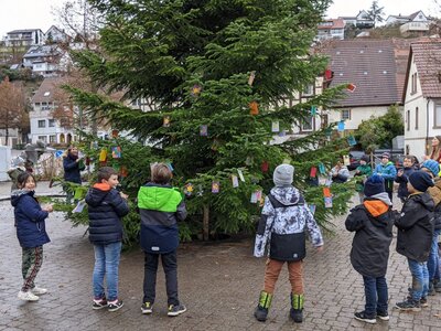 Foto des Albums: Tannenbaum schmücken
