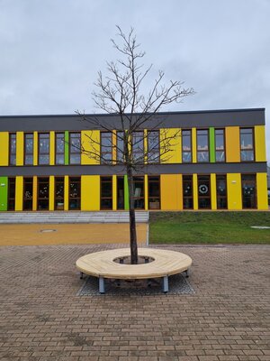 Foto des Albums: Baumbänke