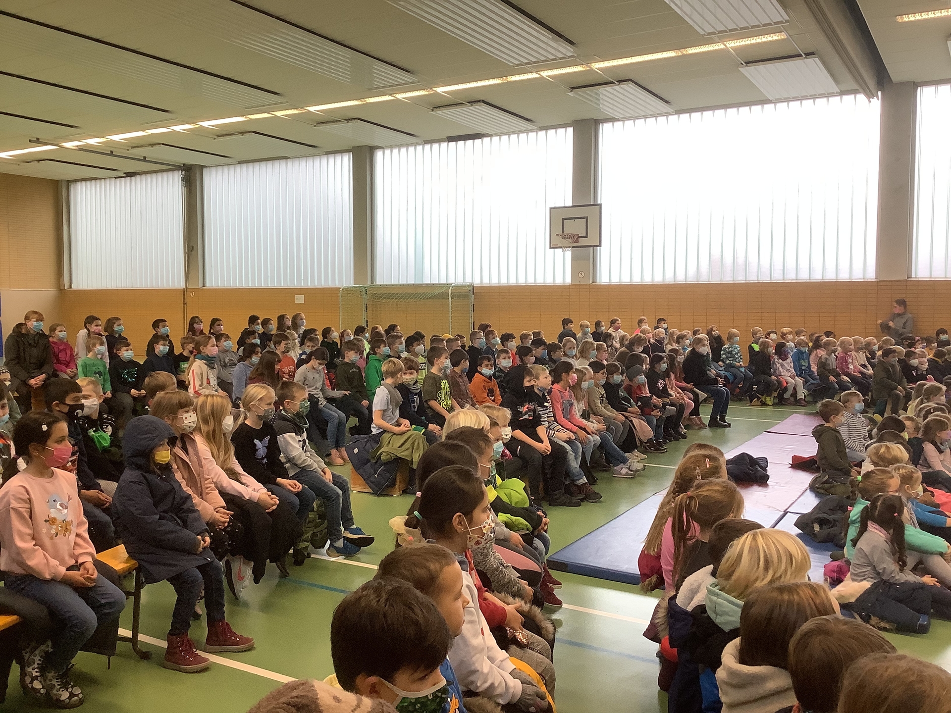 Bild der Galerie