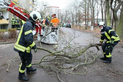 Foto des Albums: Einsatz 301/2021 - Ast