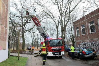Foto des Albums: Einsatz 301/2021 - Ast