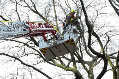 Foto des Albums: Einsatz 301/2021 - Ast