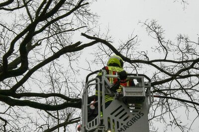 Foto des Albums: Einsatz 301/2021 - Ast