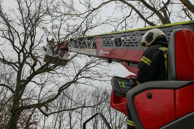 Foto des Albums: Einsatz 301/2021 - Ast