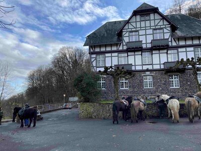 Foto des Albums: Nikolausritt zum Löwenburger Hof
