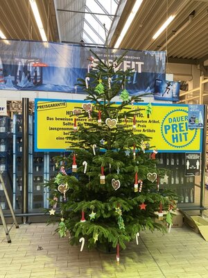 Foto des Albums: Weihnachtsbaum im Schrammel