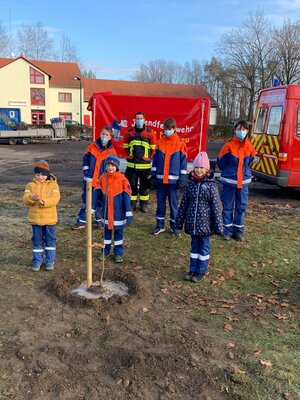 Baumpflanzung Drebkau  (Bild vergr&ouml;&szlig;ern)